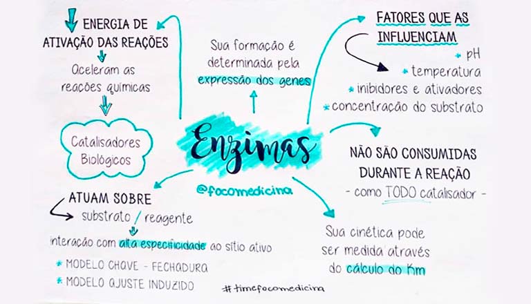 Mapas mentais sobre Enzimas